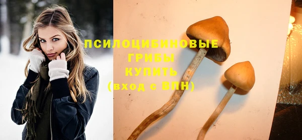 марки nbome Алзамай