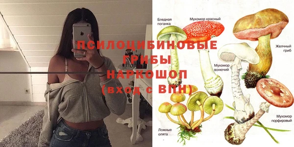2c-b Алексеевка