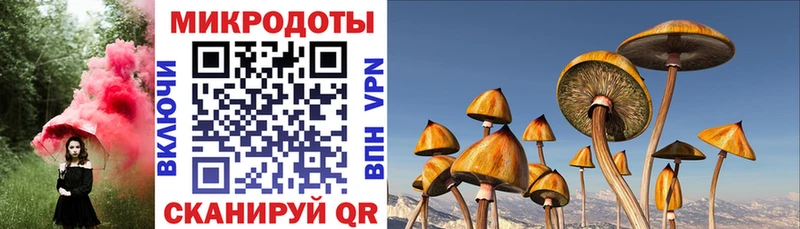 закладка  Дятьково  Галлюциногенные грибы Magic Shrooms 